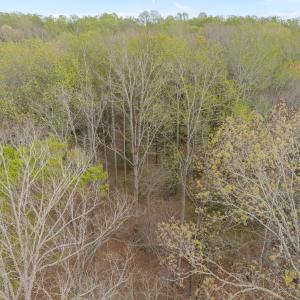 Photo #12 of Off Hilltop Lane, Smithfield, VA 19.1 acres