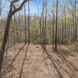Photo #13 of Off Hilltop Lane, Smithfield, VA 19.1 acres