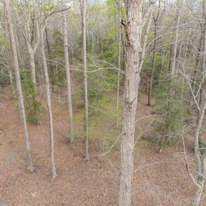 Photo #22 of Off Hilltop Lane, Smithfield, VA 19.1 acres