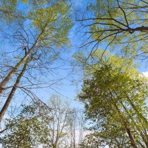 Photo #24 of Off Hilltop Lane, Smithfield, VA 19.1 acres