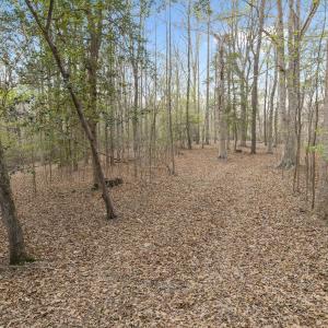 Photo #26 of Off Hilltop Lane, Smithfield, VA 19.1 acres