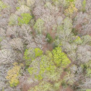 Photo #28 of Off Hilltop Lane, Smithfield, VA 19.1 acres