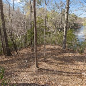 Photo #30 of Off Hilltop Lane, Smithfield, VA 19.1 acres