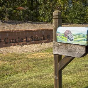 Photo #4 of 784 & 785 Glennie Irvin Road, Semora, NC 146.3 acres