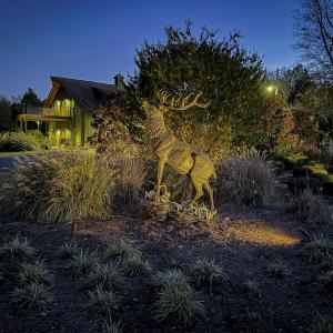 Photo #65 of 784 & 785 Glennie Irvin Road, Semora, NC 146.3 acres