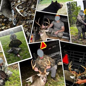 Photo #80 of 784 & 785 Glennie Irvin Road, Semora, NC 146.3 acres