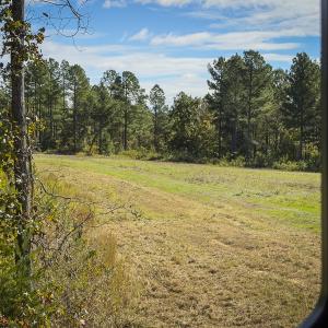 Photo #87 of 784 & 785 Glennie Irvin Road, Semora, NC 146.3 acres