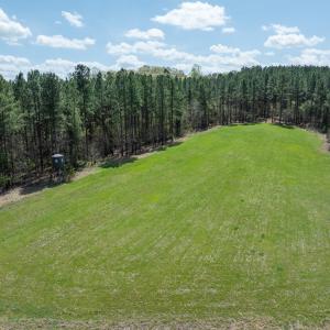 Photo #90 of 784 & 785 Glennie Irvin Road, Semora, NC 146.3 acres