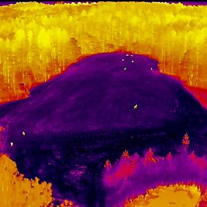 Photo #93 of 784 & 785 Glennie Irvin Road, Semora, NC 146.3 acres