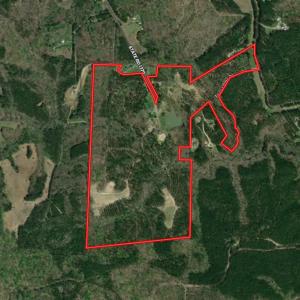 Photo #96 of 784 & 785 Glennie Irvin Road, Semora, NC 146.3 acres