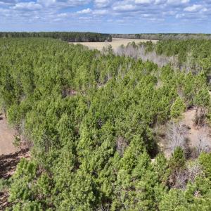 Photo #10 of Lot 1 Guinea Mill Rd, Ernul, NC 25.0 acres