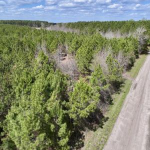 Photo #11 of Lot 1 Guinea Mill Rd, Ernul, NC 25.0 acres