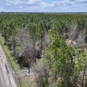 Photo #12 of Lot 1 Guinea Mill Rd, Ernul, NC 25.0 acres