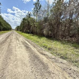 Photo #13 of Lot 1 Guinea Mill Rd, Ernul, NC 25.0 acres