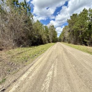 Photo #14 of Lot 1 Guinea Mill Rd, Ernul, NC 25.0 acres