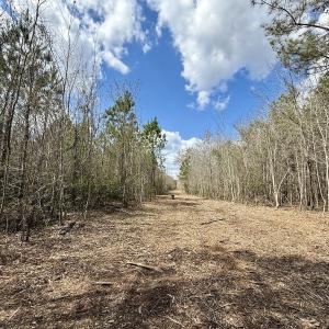 Photo #15 of Lot 1 Guinea Mill Rd, Ernul, NC 25.0 acres