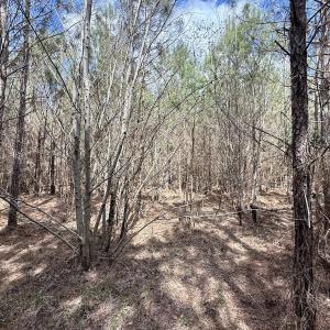 Photo #19 of Lot 1 Guinea Mill Rd, Ernul, NC 25.0 acres