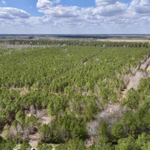 Photo #2 of Lot 1 Guinea Mill Rd, Ernul, NC 25.0 acres