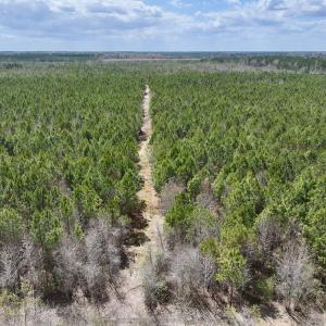 Photo #4 of Lot 1 Guinea Mill Rd, Ernul, NC 25.0 acres