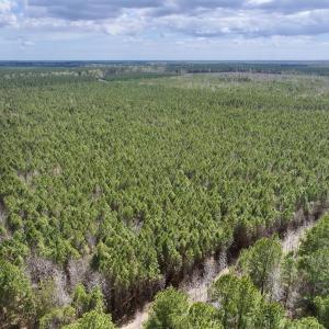 Photo #6 of Lot 1 Guinea Mill Rd, Ernul, NC 25.0 acres