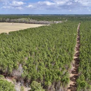 Photo #7 of Lot 1 Guinea Mill Rd, Ernul, NC 25.0 acres