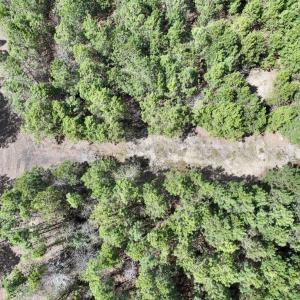 Photo #9 of Lot 1 Guinea Mill Rd, Ernul, NC 25.0 acres