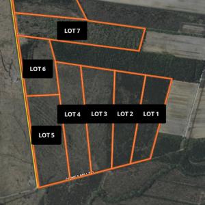 Photo #22 of Lot 1 Guinea Mill Rd, Ernul, NC 25.0 acres