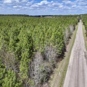 Photo #12 of Lot 2 Guinea Mill Rd, Ernul, NC 30.0 acres