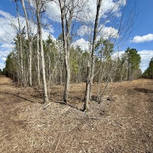 Photo #15 of Lot 2 Guinea Mill Rd, Ernul, NC 30.0 acres