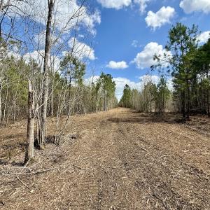 Photo #16 of Lot 2 Guinea Mill Rd, Ernul, NC 30.0 acres