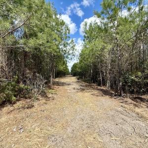 Photo #18 of Lot 2 Guinea Mill Rd, Ernul, NC 30.0 acres