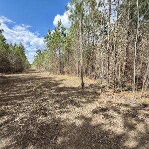 Photo #21 of Lot 2 Guinea Mill Rd, Ernul, NC 30.0 acres