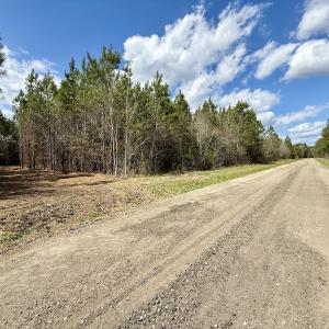 Photo #23 of Lot 2 Guinea Mill Rd, Ernul, NC 30.0 acres