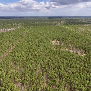 Photo #7 of Lot 2 Guinea Mill Rd, Ernul, NC 30.0 acres