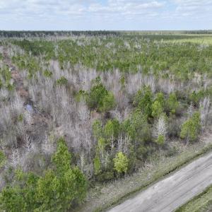 Photo #11 of Lot 4  Guinea Mill Rd, Ernul, NC 34.0 acres