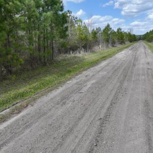 Photo #16 of Lot 4  Guinea Mill Rd, Ernul, NC 34.0 acres