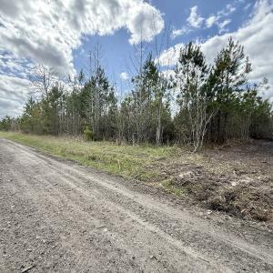 Photo #17 of Lot 4  Guinea Mill Rd, Ernul, NC 34.0 acres