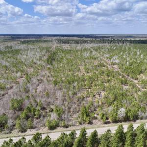 Photo #1 of Lot 4  Guinea Mill Rd, Ernul, NC 34.0 acres