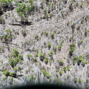 Photo #4 of Lot 4  Guinea Mill Rd, Ernul, NC 34.0 acres