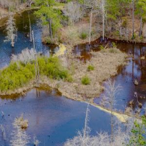 Photo #7 of Off of Woodwind Dr, Vass, NC 134.5 acres