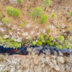 Photo #8 of Off of Woodwind Dr, Vass, NC 134.5 acres