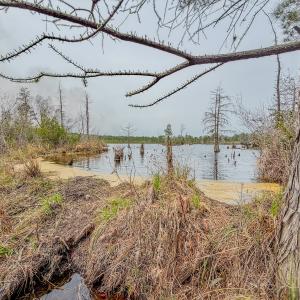 Photo #14 of Off of Woodwind Dr, Vass, NC 134.5 acres