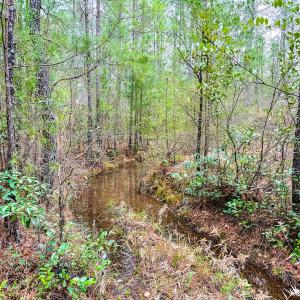 Photo #17 of Off of Woodwind Dr, Vass, NC 134.5 acres