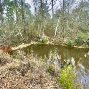 Photo #3 of Off of Woodwind Dr, Vass, NC 134.5 acres