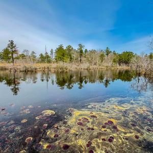 Photo #5 of Off of Woodwind Dr, Vass, NC 134.5 acres