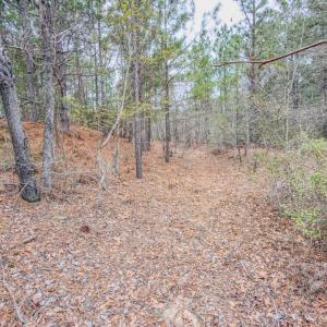 Photo #23 of Off of Woodwind Dr, Vass, NC 134.5 acres