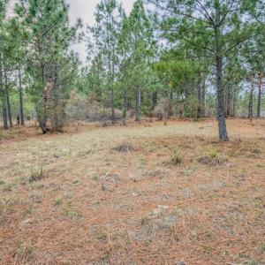 Photo #25 of Off of Woodwind Dr, Vass, NC 134.5 acres