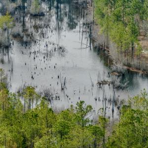 Photo #34 of Off of Woodwind Dr, Vass, NC 134.5 acres