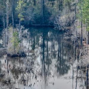 Photo #35 of Off of Woodwind Dr, Vass, NC 134.5 acres