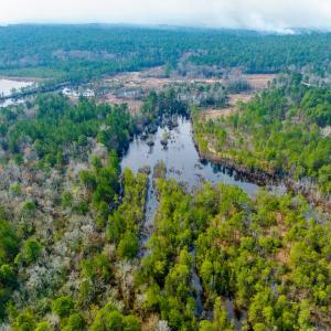 Photo #36 of Off of Woodwind Dr, Vass, NC 134.5 acres